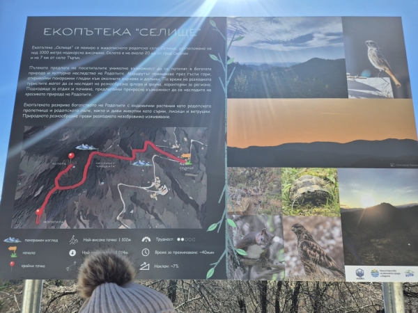 A walk in the mountains